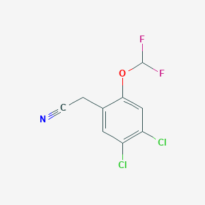 molecular formula C9H5Cl2F2NO B1530047 4,5-二氯-2-(二氟甲氧基)苯乙腈 CAS No. 1803833-35-3