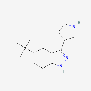 5-tert-butyl-3-(pyrrolidin-3-yl)-4,5,6,7-tetrahydro-1H-indazole