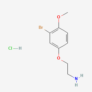 molecular formula C9H13BrClNO2 B15303616 2-(3-Bromo-4-methoxyphenoxy)ethan-1-amine hydrochloride 