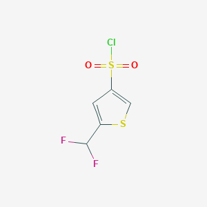 molecular formula C5H3ClF2O2S2 B15304564 5-(Difluoromethyl)thiophene-3-sulfonyl chloride 