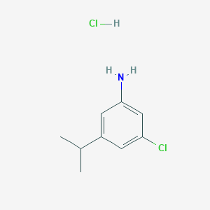 molecular formula C9H13Cl2N B15305675 3-Chloro-5-(propan-2-yl)anilinehydrochloride 