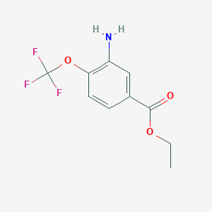 molecular formula C10H10F3NO3 B15308196 Ethyl 3-amino-4-(trifluoromethoxy)benzoate 