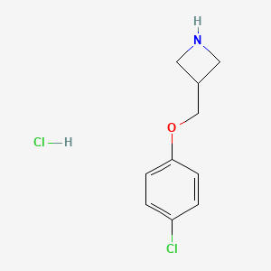 molecular formula C10H13Cl2NO B1530873 3-((4-Chlorophenoxy)methyl)azetidine hydrochloride CAS No. 1864053-23-5