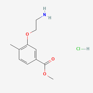 molecular formula C11H16ClNO3 B15308912 Methyl 3-(2-aminoethoxy)-4-methylbenzoate hydrochloride 