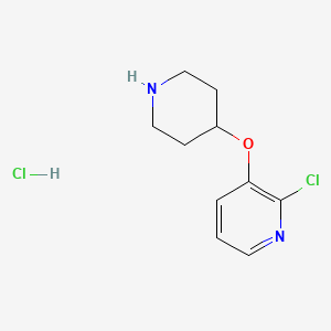 molecular formula C10H14Cl2N2O B1530951 2-Chloro-3-pyridinyl 4-piperidinyl ether hydrochloride CAS No. 1185298-55-8