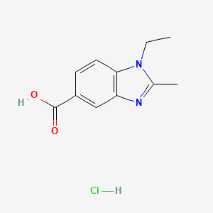 molecular formula C11H13ClN2O2 B1531004 1-Ethyl-2-methyl-1H-benzoimidazole-5-carboxylic acid hydrochloride CAS No. 1185295-45-7