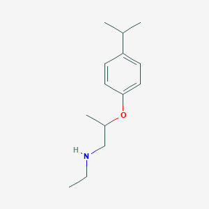 molecular formula C14H23NO B1531010 N-Ethyl-2-(4-isopropylphenoxy)-1-propanamine CAS No. 1040686-28-9