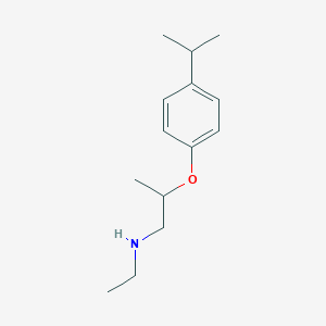 molecular formula C14H23NO B1531010 N-乙基-2-(4-异丙基苯氧基)-1-丙胺 CAS No. 1040686-28-9