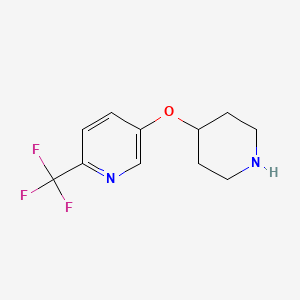 5-(Piperidin-4-yloxy)-2-(trifluoromethyl)pyridine