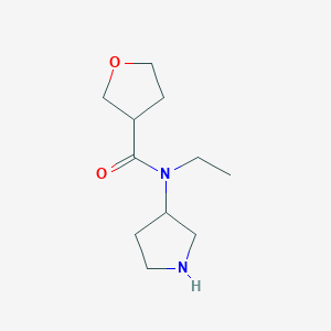 molecular formula C11H20N2O2 B15310924 N-ethyl-N-(pyrrolidin-3-yl)oxolane-3-carboxamide 