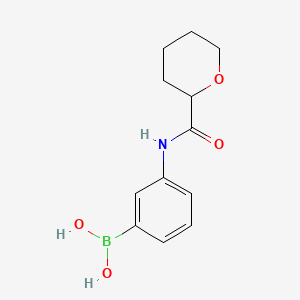 [3-(Oxane-2-amido)phenyl]boronic acid