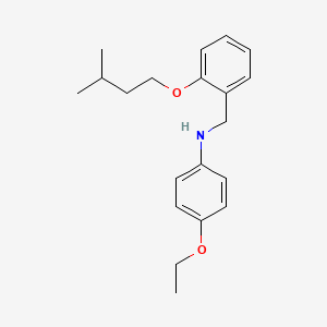 molecular formula C20H27NO2 B1531254 4-Ethoxy-N-[2-(isopentyloxy)benzyl]aniline CAS No. 1040687-10-2