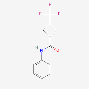 (1r,3r)-N-phenyl-3-(trifluoromethyl)cyclobutane-1-carboxamide