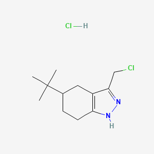 molecular formula C12H20Cl2N2 B1531384 5-(tert-butyl)-3-(chloromethyl)-4,5,6,7-tetrahydro-2H-indazole hydrochloride CAS No. 2098031-04-8