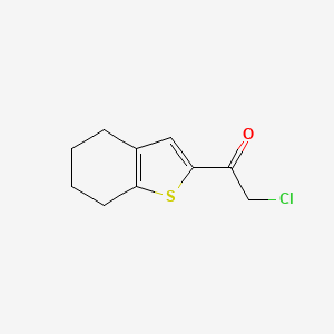 molecular formula C10H11ClOS B15315436 2-Chloro-1-(4,5,6,7-tetrahydro-1-benzothiophen-2-yl)ethan-1-one CAS No. 263148-69-2