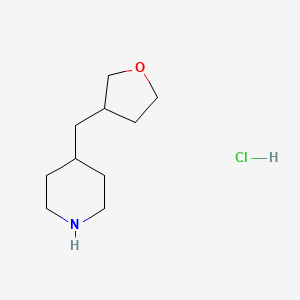 molecular formula C10H20ClNO B1531557 4-[(Oxolan-3-yl)methyl]piperidine hydrochloride CAS No. 2098021-31-7