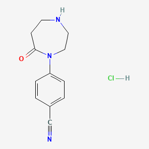 molecular formula C12H14ClN3O B1531610 4-(7-Oxo-1,4-diazepan-1-yl)benzonitrile hydrochloride CAS No. 2098008-87-6