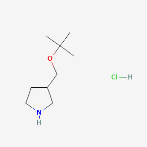 3-[(Tert-butoxy)methyl]pyrrolidinehydrochloride