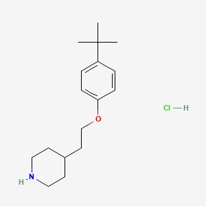 molecular formula C17H28ClNO B1531949 4-{2-[4-(tert-Butyl)phenoxy]ethyl}piperidine hydrochloride CAS No. 1185299-88-0