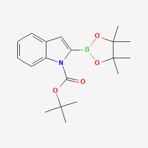 molecular formula C19H26BNO4 B1532101 叔丁基 2-(4,4,5,5-四甲基-1,3,2-二恶杂硼环-2-基)-1H-吲哚-1-羧酸酯 CAS No. 1072944-96-7