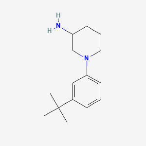 molecular formula C15H24N2 B15321685 1-(3-Tert-butylphenyl)piperidin-3-amine 