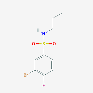 molecular formula C9H11BrFNO2S B1532207 3-溴-4-氟-N-丙基苯-1-磺酰胺 CAS No. 1874673-86-5