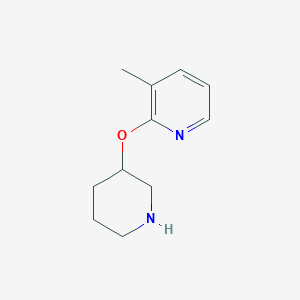 molecular formula C11H16N2O B15322940 3-Methyl-2-(piperidin-3-yloxy)pyridine 