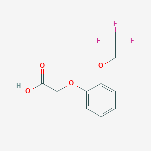 molecular formula C10H9F3O4 B1532324 2-[2-(2,2,2-Trifluoroethoxy)phenoxy]acetic acid CAS No. 1251924-67-0