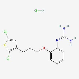 N-{2-[3-(2,5-dichlorothiophen-3-yl)propoxy]phenyl}guanidine hydrochloride