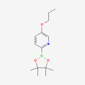 5-(n-Propoxy)pyridine-2-boronic acid pinacol ester