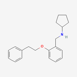 molecular formula C20H25NO B1532650 N-[2-(苯乙氧基)苄基]环戊胺 CAS No. 1040686-98-3