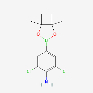 molecular formula C12H16BCl2NO2 B1532804 2,6-Dichloro-4-(4,4,5,5-tetramethyl-1,3,2-dioxaborolan-2-yl)aniline CAS No. 1371630-51-1