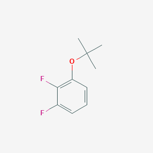 molecular formula C10H12F2O B15337845 1-(tert-Butoxy)-2,3-difluorobenzene 