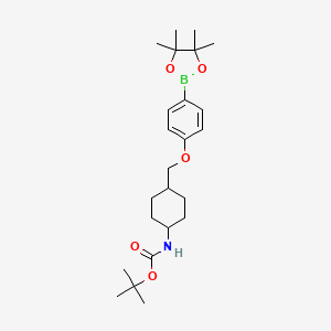 tert-Butyl ((1r,4r)-4-((4-(4,4,5,5-tetramethyl-1,3,2-dioxaborolan-2-yl)phenoxy)methyl)cyclohexyl)carbamate