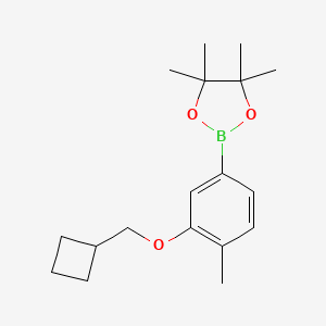 2-(3-(Cyclobutylmethoxy)-4-methylphenyl)-4,4,5,5-tetramethyl-1,3,2-dioxaborolane