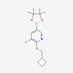 3-Chloro-2-(cyclobutylmethoxy)-5-(4,4,5,5-tetramethyl-1,3,2-dioxaborolan-2-yl)pyridine