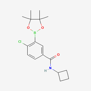 molecular formula C17H23BClNO3 B15339899 4-Chloro-N-cyclobutyl-3-(4,4,5,5-tetramethyl-1,3,2-dioxaborolan-2-yl)benzamide 