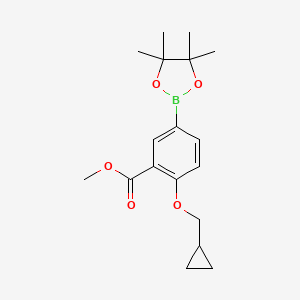 molecular formula C18H25BO5 B15339973 2-Cyclopropylmethoxy-5-(4,4,5,5-tetramethyl-[1,3,2]dioxaborolan-2-yl)-benzoic acid methyl ester 