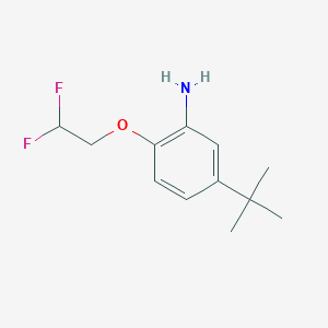 5-tert-Butyl-2-(2,2-difluoroethoxy)-phenylamine