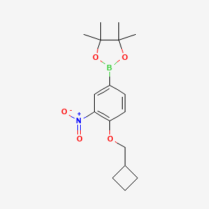 molecular formula C17H24BNO5 B15340826 2-(4-(Cyclobutylmethoxy)-3-nitrophenyl)-4,4,5,5-tetramethyl-1,3,2-dioxaborolane 