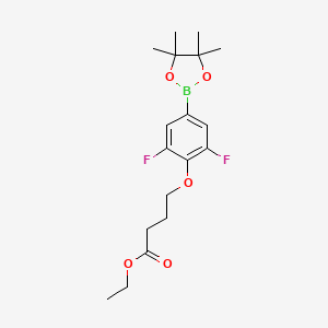 molecular formula C18H25BF2O5 B15341737 Ethyl 4-(2,6-difluoro-4-(4,4,5,5-tetramethyl-1,3,2-dioxaborolan-2-yl)phenoxy)butanoate 