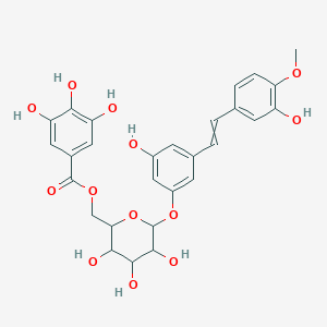 [3,4,5-Trihydroxy-6-[3-hydroxy-5-[2-(3-hydroxy-4-methoxyphenyl)ethenyl]phenoxy]oxan-2-yl]methyl 3,4,5-trihydroxybenzoate