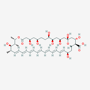 molecular formula C41H62O14 B15352257 (1R,3S,5R,6R,9R,11R,15S,16R,17R,18S,19E,21E,23E,25E,27E,29E,31E,33R,35S,36R,37S)-1,3,5,6,9,11,17,33,37-nonahydroxy-15,16,18-trimethyl-13-oxo-14,39-dioxabicyclo[33.3.1]nonatriaconta-19,21,23,25,27,29,31-heptaene-36-carboxylic acid 