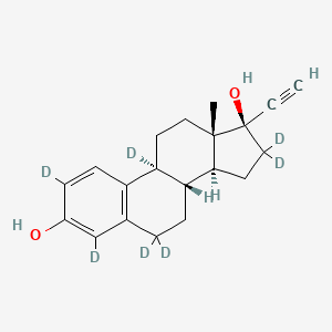 Ethynyl Estradiol-2,4,9,6,6,16,16-d7 (Major)