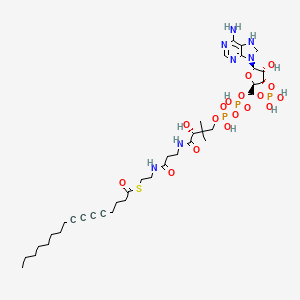 S-[2-[3-[[(2R)-4-[[[(2R,3S,4R,5R)-5-(6-amino-7,8-dihydropurin-9-yl)-4-hydroxy-3-phosphonooxyoxolan-2-yl]methoxy-hydroxyphosphoryl]oxy-hydroxyphosphoryl]oxy-2-hydroxy-3,3-dimethylbutanoyl]amino]propanoylamino]ethyl] hexadeca-5,7-diynethioate