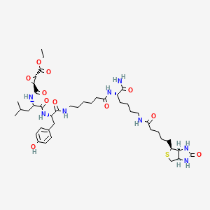 ethyl (2S,3S)-3-[[(2S)-1-[[(2S)-1-[[6-[[(2S)-6-[5-[(3aS,4S,6aR)-2-oxo-1,3,3a,4,6,6a-hexahydrothieno[3,4-d]imidazol-4-yl]pentanoylamino]-1-amino-1-oxohexan-2-yl]amino]-6-oxohexyl]amino]-3-(4-hydroxyphenyl)-1-oxopropan-2-yl]amino]-4-methyl-1-oxopentan-2-yl]carbamoyl]oxirane-2-carboxylate