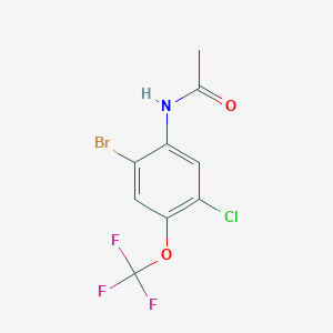 N-[2-bromo-5-chloro-4-(trifluoromethoxy)phenyl]acetamide