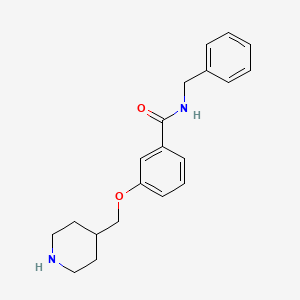 molecular formula C20H24N2O2 B15354702 N-benzyl-3-(piperidin-4-ylmethoxy)benzamide 