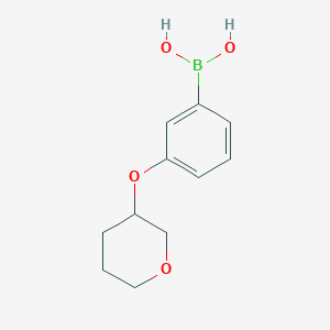 molecular formula C11H15BO4 B15355685 [3-(Oxan-3-yloxy)phenyl]boronic acid 