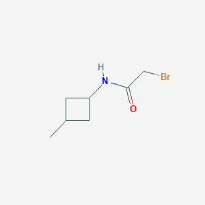 2-bromo-N-(3-methylcyclobutyl)acetamide